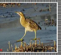 鳽D(O孓醯s?q岧E?擗佄灛?v?[她〇┠;:K噭偘v的简单介绍